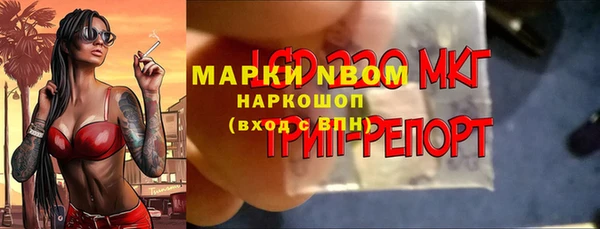 a pvp Магас