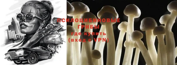 молекула духа Магадан