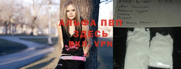 a pvp Магас