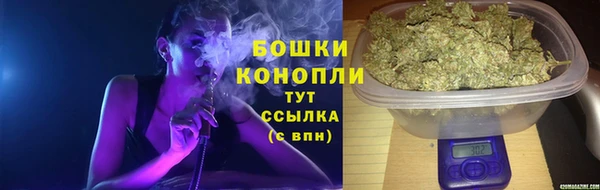 a pvp Магас
