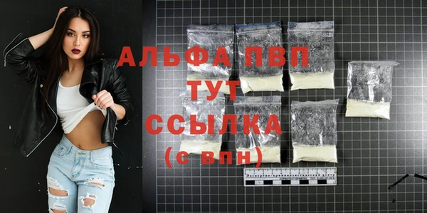 a pvp Магас