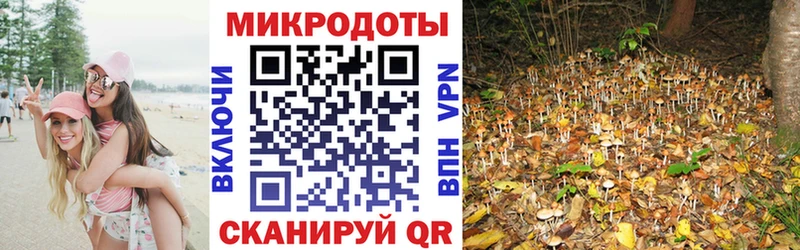 Галлюциногенные грибы Psilocybe  Купить где  Первомайск 